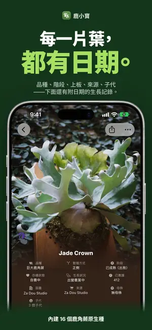 每一片葉，都有日期。
