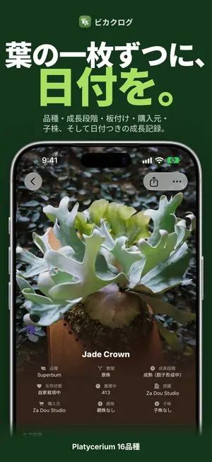 葉の一枚ずつに、日付を。