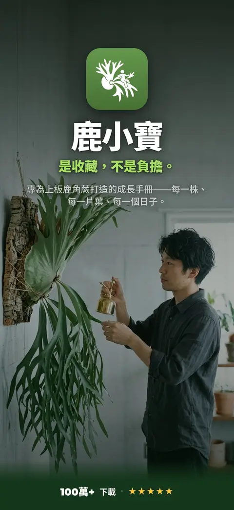 鹿小寶 — 是收藏,不是負擔。