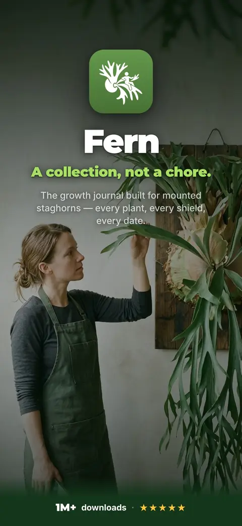 A collection, not a chore.