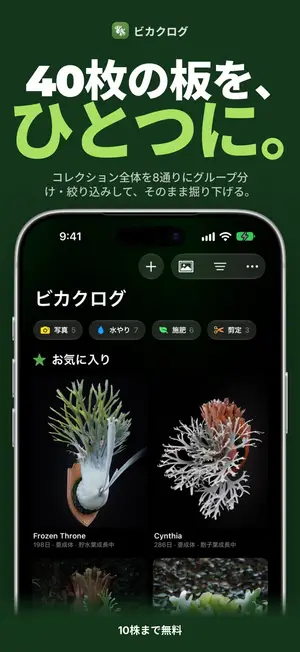 40枚の板を、ひとつに。