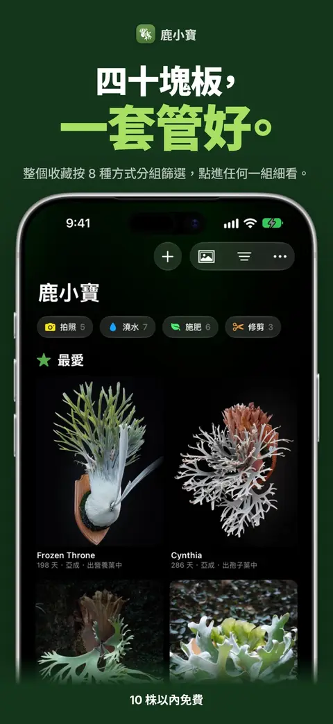 四十塊板,一套管好。