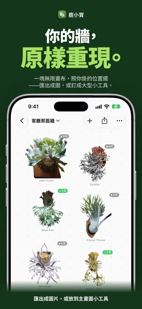 你的牆,原樣重現。