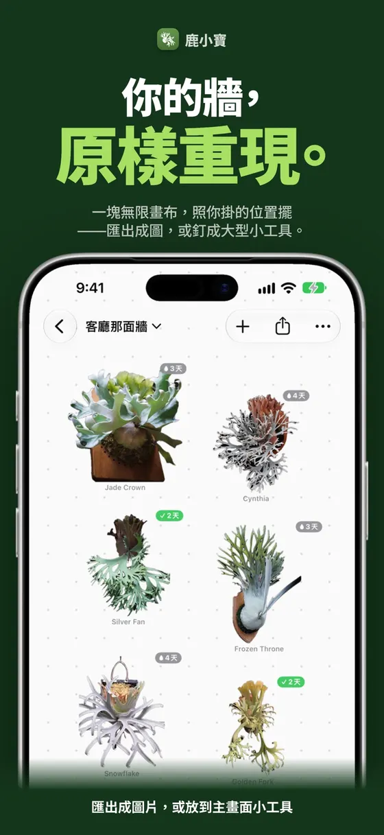 鹿小寶 — 你的牆，原樣重現。