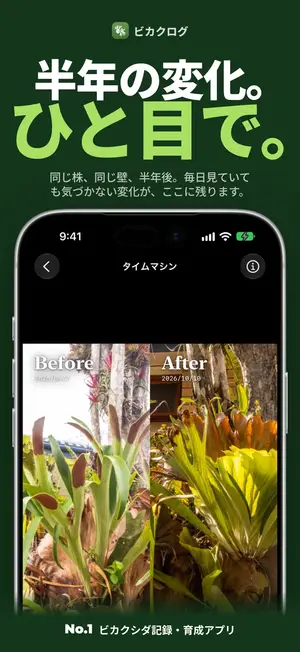 半年の変化、ひと目で。