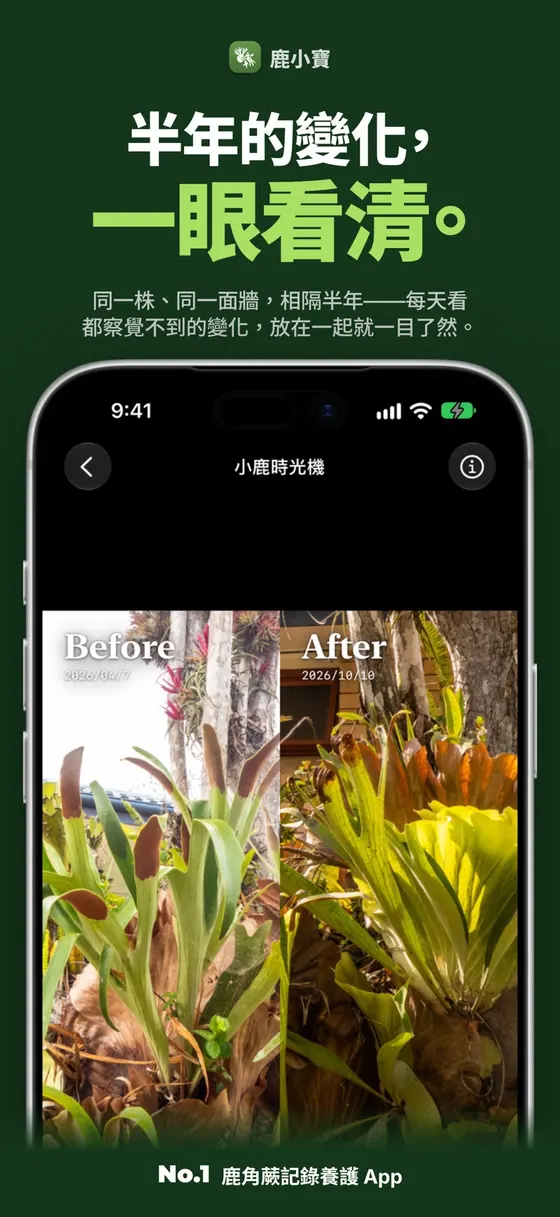 鹿小寶 — 半年的變化，一眼看清。