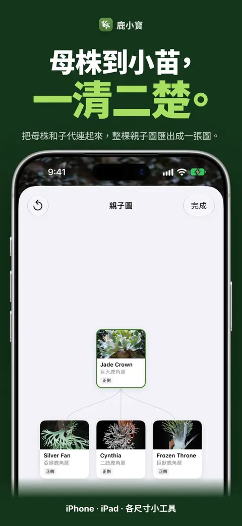 母株到小苗,一清二楚。