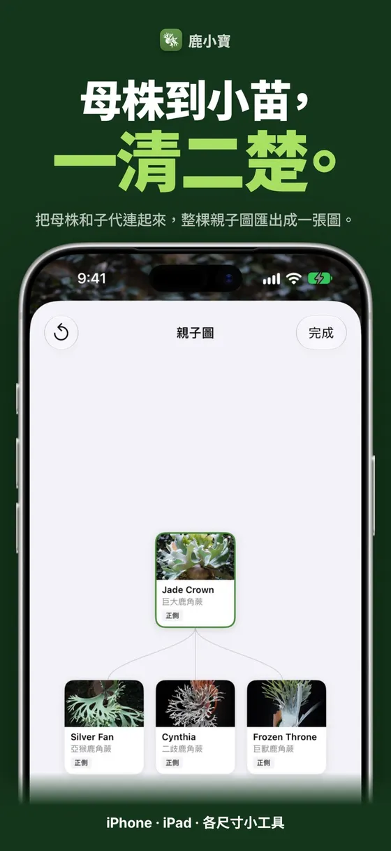 鹿小寶 — 母株到小苗，一清二楚。
