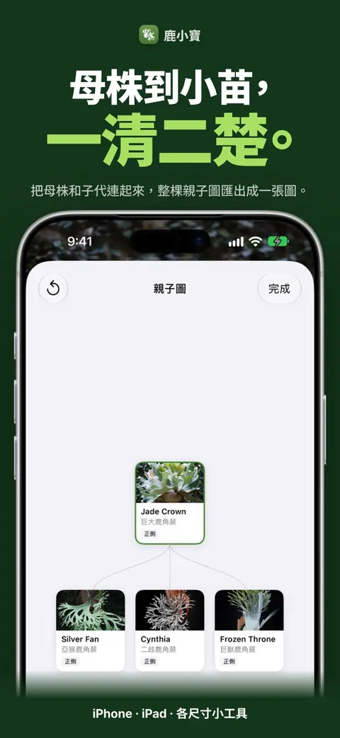 鹿小寶 — 母株到小苗,一清二楚。
