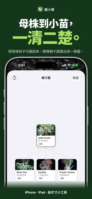 母株到小苗，一清二楚。