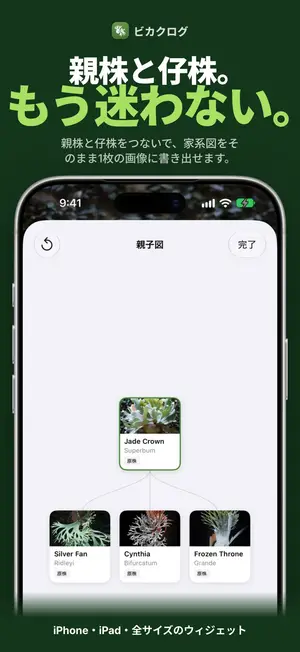 親株と仔株。もう迷わない。
