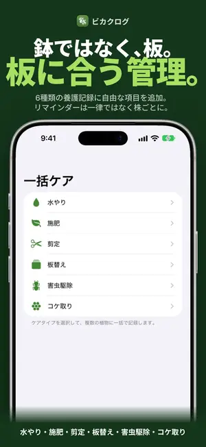 鉢ではなく、板。板に合う管理。
