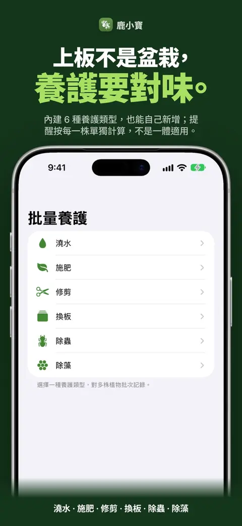 上板不是盆栽,養護要對味。