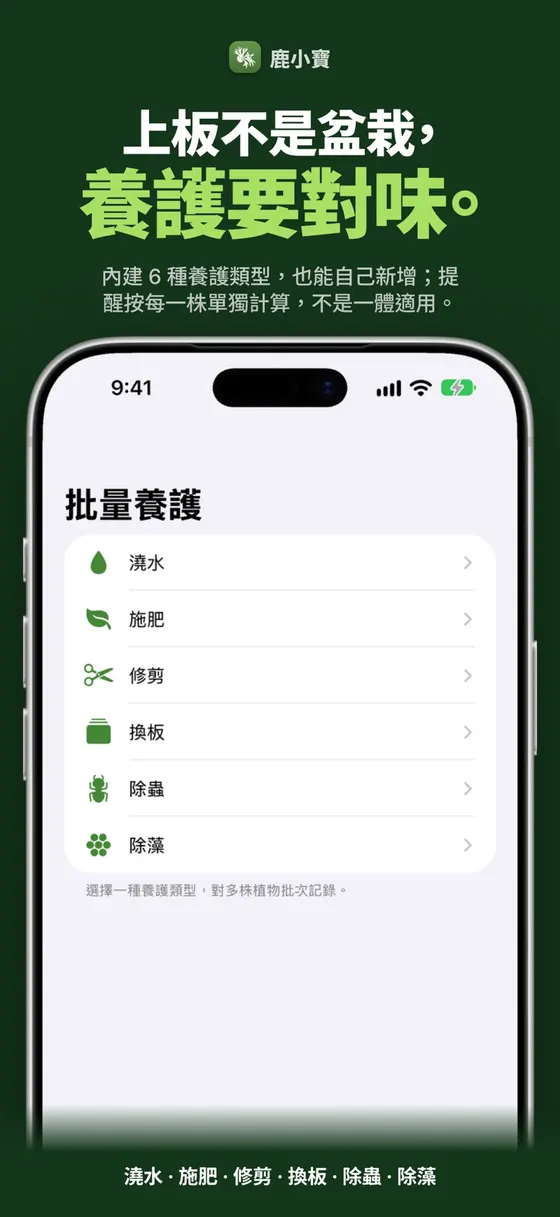 鹿小寶 — 上板不是盆栽，養護要對味。