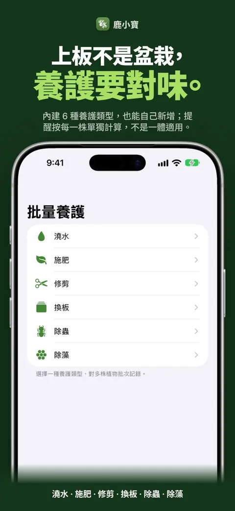 鹿小寶 — 上板不是盆栽,養護要對味。