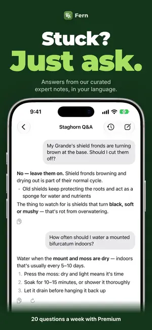 Stuck? Just ask.