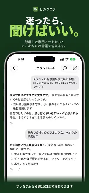 迷ったら、聞けばいい。