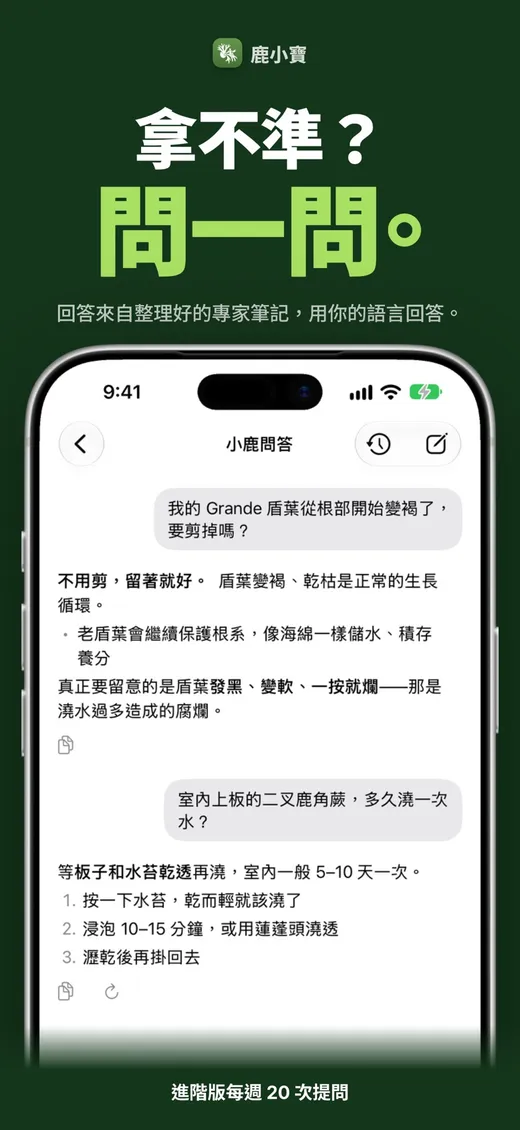 鹿小寶 — 拿不準？問一問。