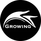 BB Ferns logo