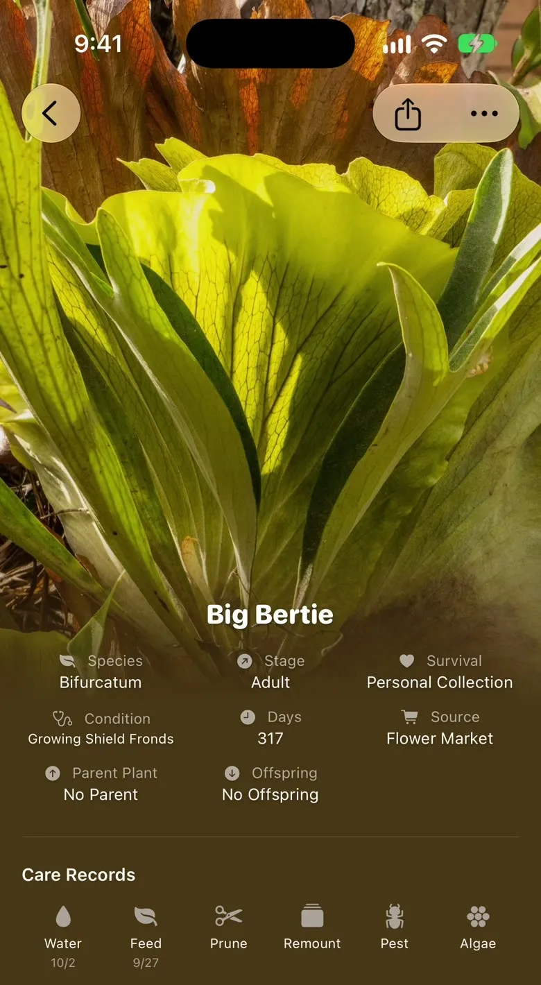 A plant profile in Fern: species, growth stage, source, parent plant and the last watering and feeding dates