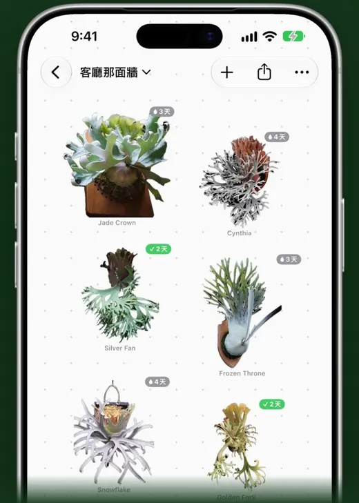 鹿小寶的小鹿牆：照實際掛法排列的收藏