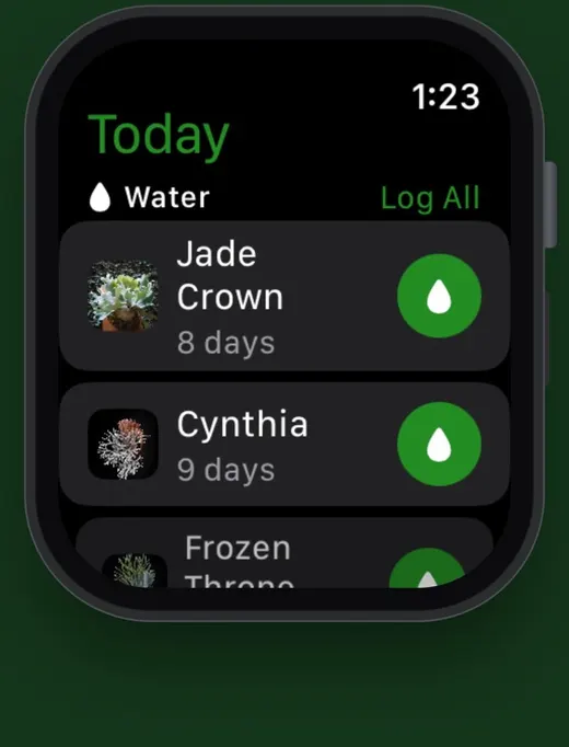 Fern on Apple Watch: today's plants to water with a one-tap button