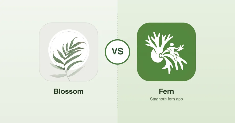 Fern vs Blossom: The Right App for Your Staghorn Ferns