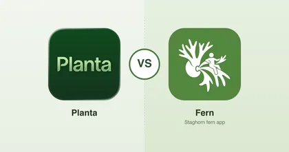 Fern vs Planta: The Best App for Staghorn Fern Collectors