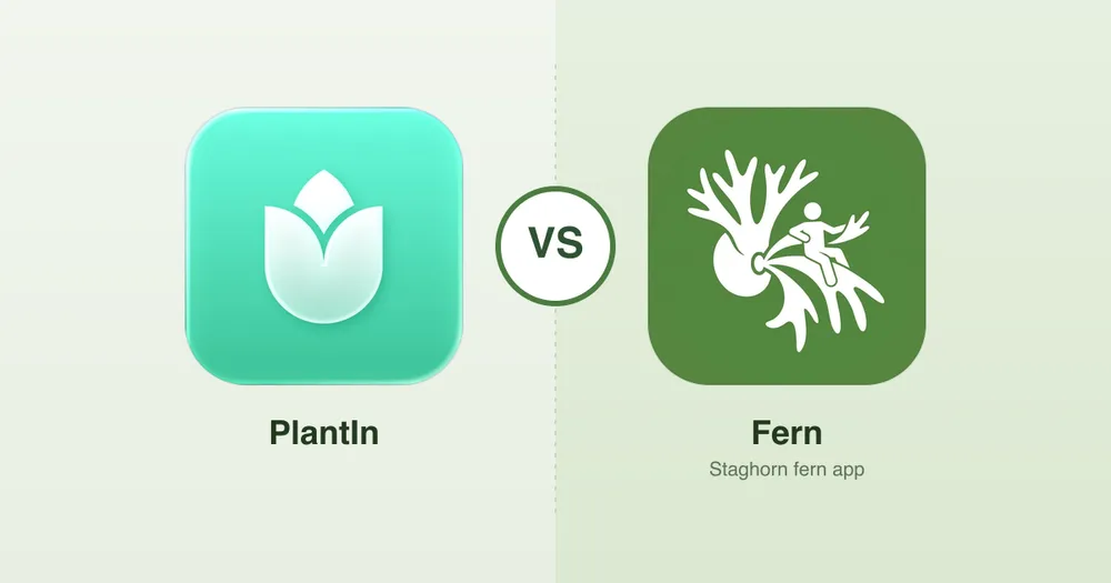 Fern vs PlantIn: Which Plant App Suits Staghorn Fern Lovers?