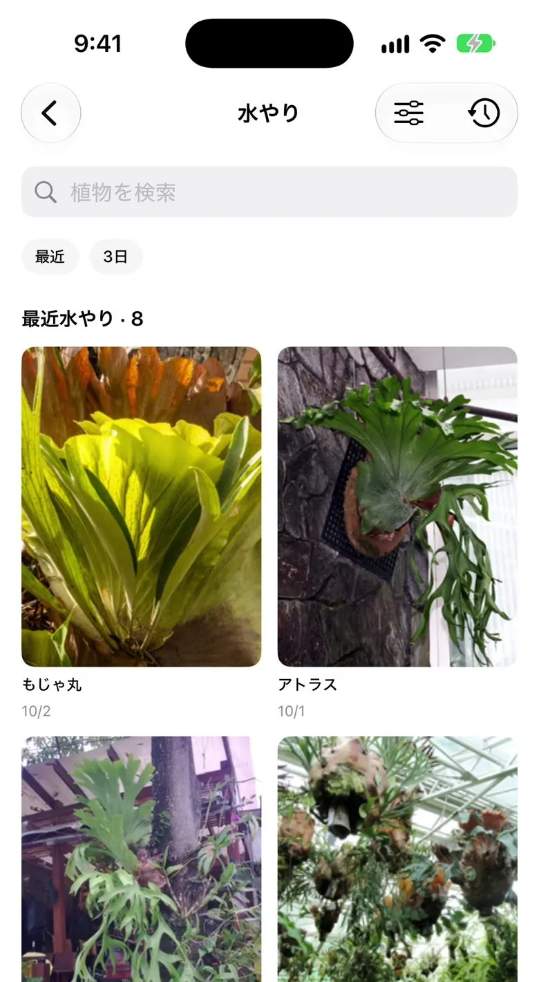 ビカクログの水やり一覧：株ごとに最後に水やりした日付が並ぶ