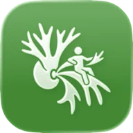 Fern app icon
