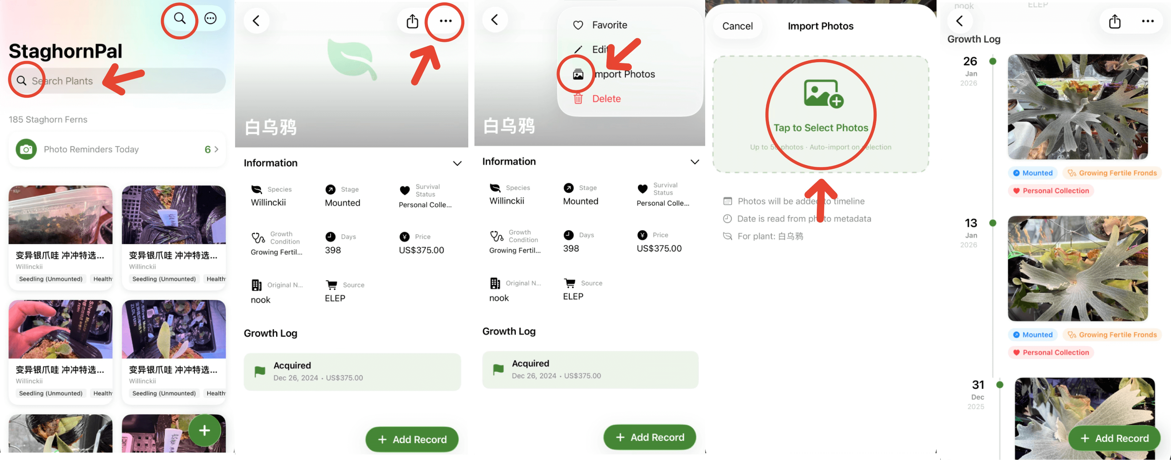 Batch import photo records