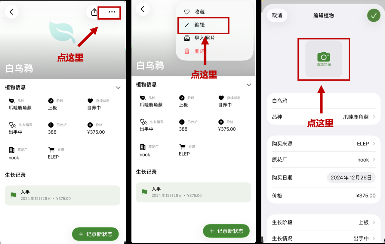 從記錄中設為封面