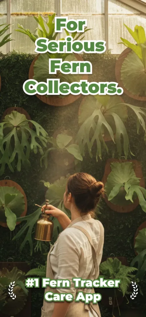Built for serious staghorn fern collectors — Fern