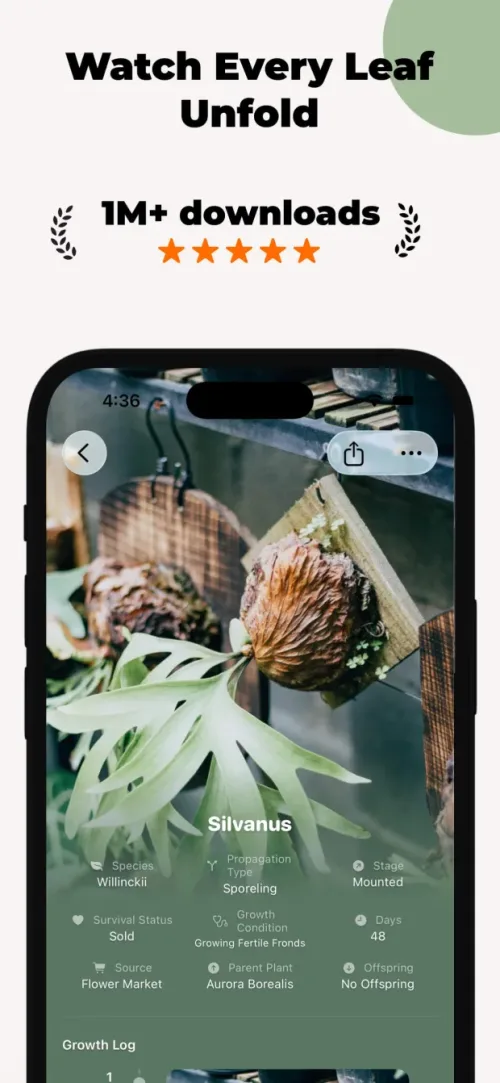 Watch every leaf unfold with the growth timeline