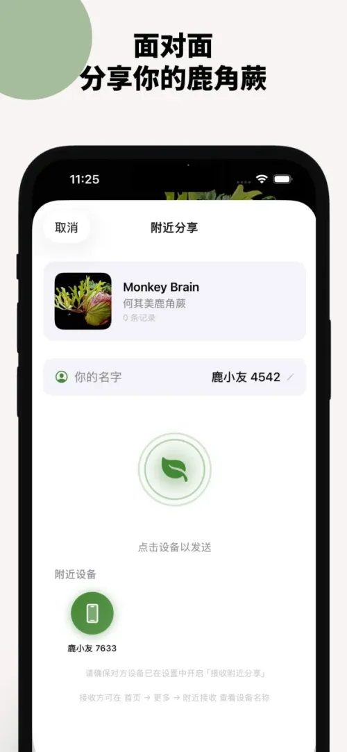 面對面分享你的鹿角蕨